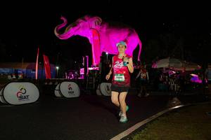 BIB: 
                            <button type="button" onclick="openModal(26542918)" class="btn btn-primary btn-sm float-right btn-popup" data-toggle="modal" data-target=".modal-high-quality">
                        <i class="fas fa-shopping-cart"></i> Add to Cart
                    </button>
                                            <button type="button" onclick="isThisMe(26542918, true)" class="btn btn-success btn-sm float-right btn-popup btn-isme hidden" data-toggle="tooltip" data-placement="bottom" title="นี่คือรูปของคุณใช่ไหม คลิกที่นี่เพื่อเอาเข้าอัลบั้ม">
                        <i class="fas fa-plus"></i> Add to album
                    </button>
                    <button type="button" onclick="isThisMe(26542918, false)" class="btn btn-warning btn-sm float-right btn-popup btn-isnotme hidden">
                        <i class="fas fa-ban"></i> Remove from album
                    </button>